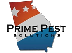 Termite Control Gainesville, GA | Prime Pest Solutions