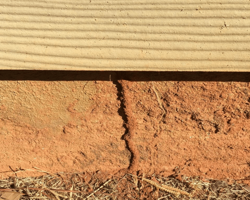 Termite Mud Tubes